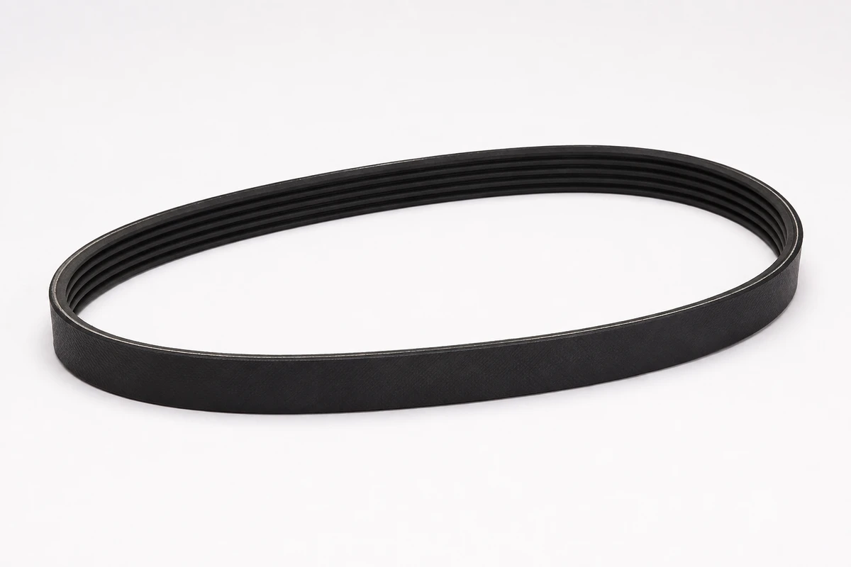 Hyundai Elantra drive belt identification image